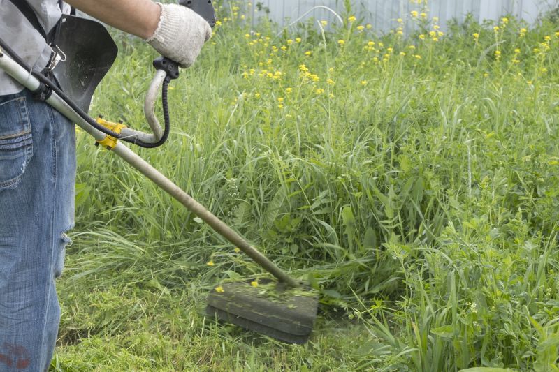 Contact About Overgrown Grass Cutting