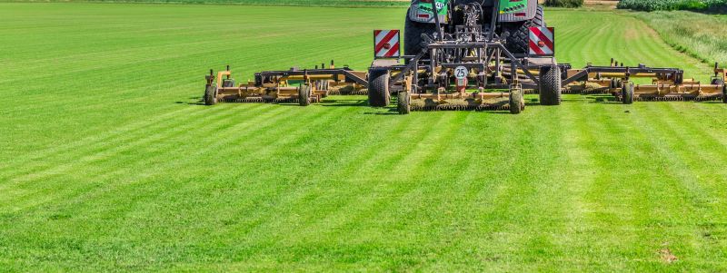 Overgrown Grass Cutting