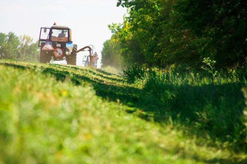 Land Clearing in Progress