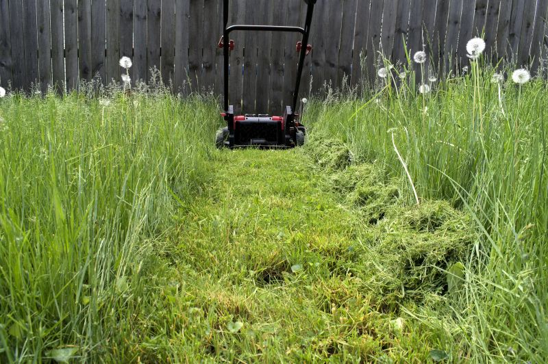 Products For Overgrown Grass Cuttings in use