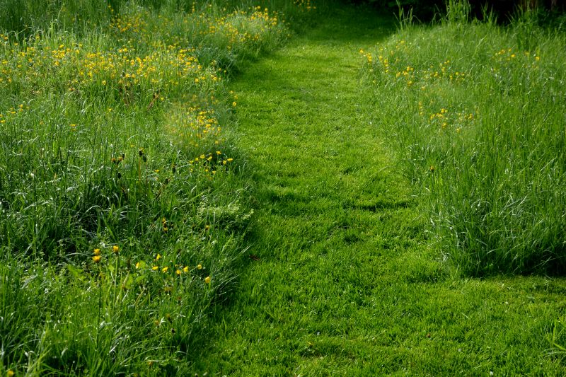 Overgrown Grass Cutting